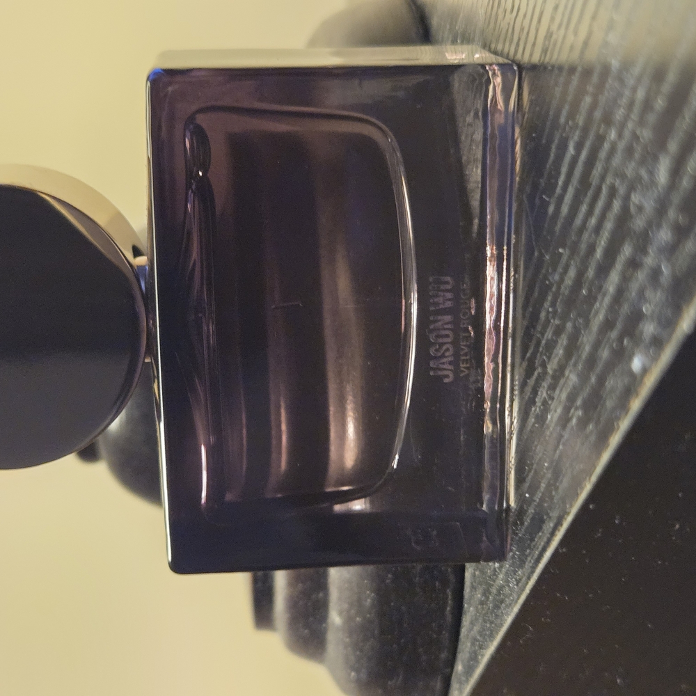 Jason Wu Black Door Handle